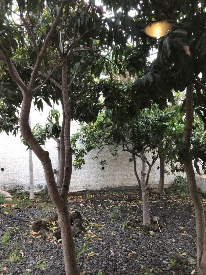 Chalet La Cepa Las Palmas de Gran Canaria Dış mekan fotoğraf